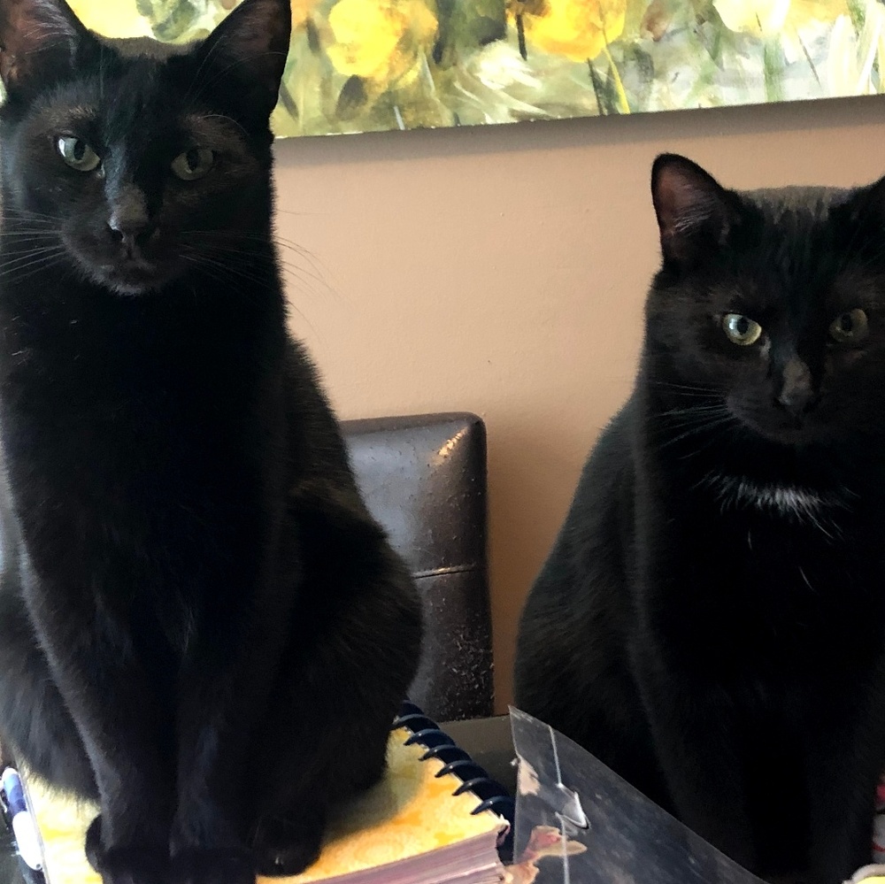 Meet your Posher, Tracy